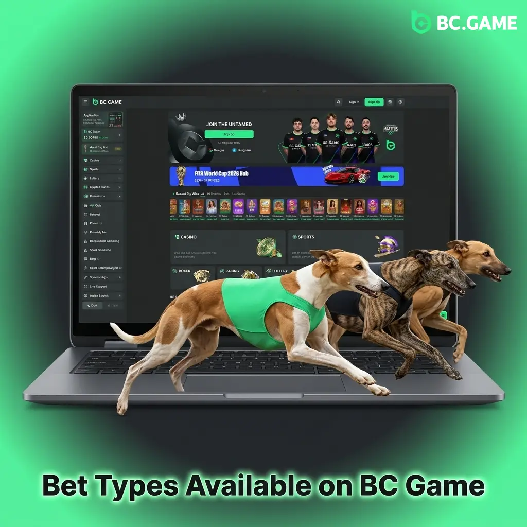 BC Game bet types including single, parlay, system, chain, and handicap options for sports betting in India